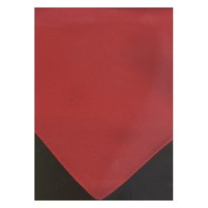 Pañuelo de San Fermín para niños Liso